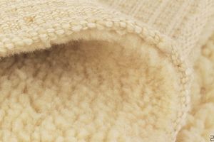 Как вывести пятна от кошачьей мочи с ковра